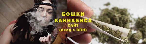 ALPHA-PVP Богородицк