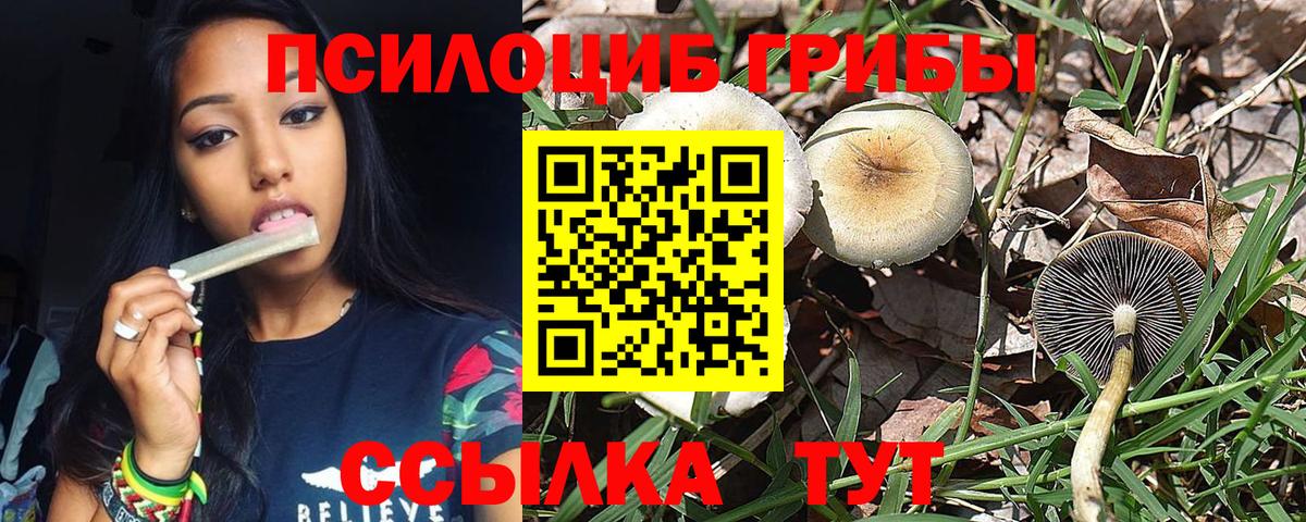 Чусовой  Галлюциногенные грибы мицелий  Галлюциногенные грибы Cubensis  Вход с VPN 