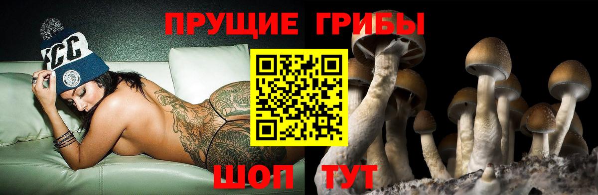 Галлюциногенные грибы прущие грибы  Чусовой 